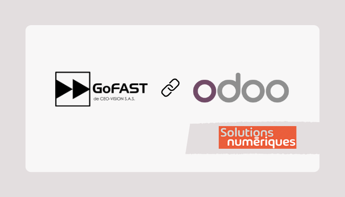 dms-gofast-erp-odoo