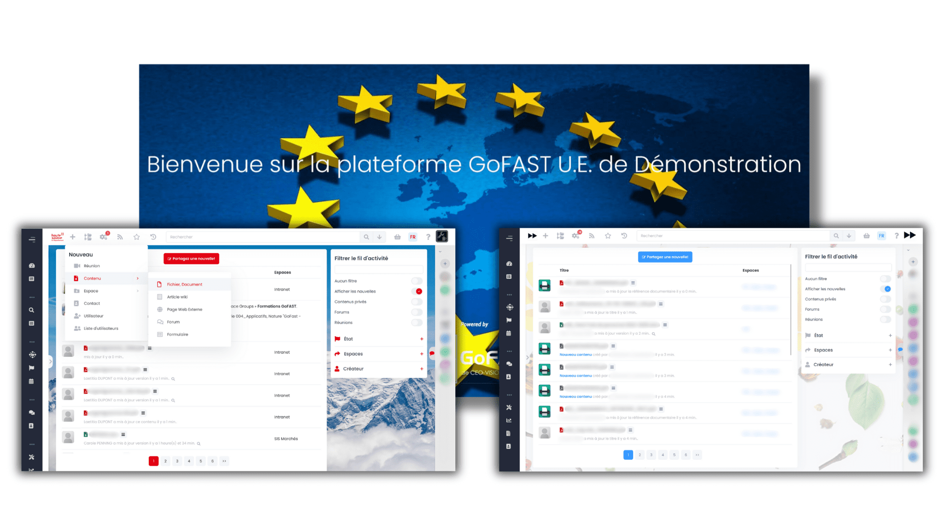 GoFAST customer platforms