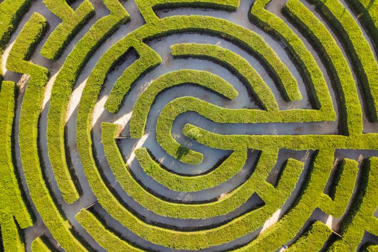 maze 