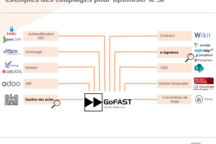 Different GoFAST combinations and uses
