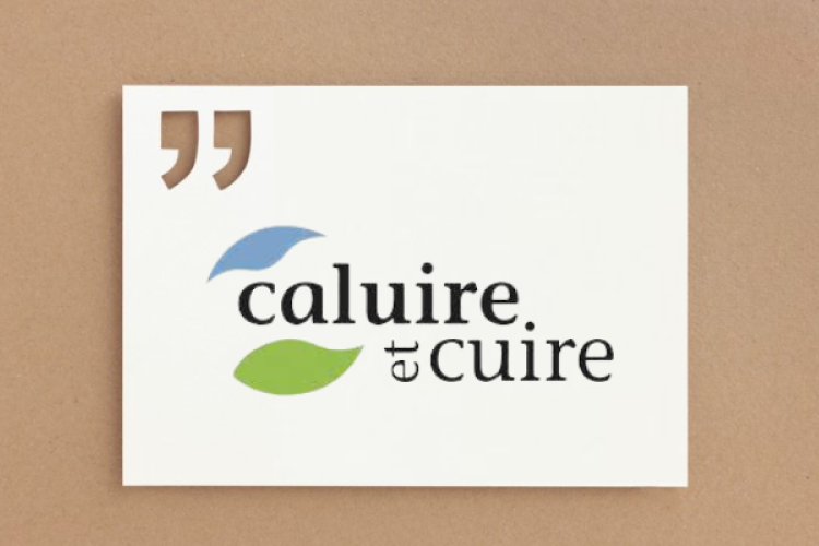 rex-ville-caluire-cuire-ameliore-gestion-documentaire