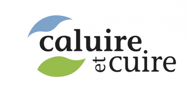 logo city of caluire and cuire